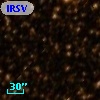 IRSV 1540-5812