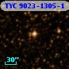 TYC 9023-1305-1