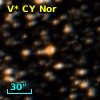 V* CY Nor