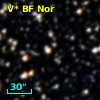 V* BF Nor
