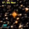 V* SS Nor