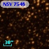 NSV  7548