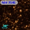 NSV  7545