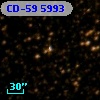 CD-59  5993