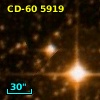 CD-60  5919