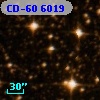 CD-60  6019
