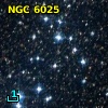 NGC  6025