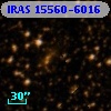 IRAS 15560-6016