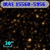 IRAS 15560-5956