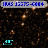 IRAS 15575-6004