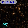 V* VX TrA