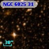 NGC  6025    31