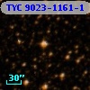TYC 9023-1161-1