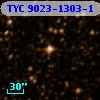 TYC 9023-1303-1