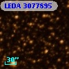LEDA 3077895