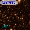 NSV  7552