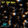 V* DP Nor