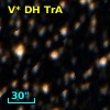 V* DH TrA