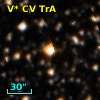 V* CV TrA