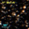 V* BI TrA