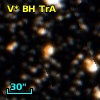V* BH TrA