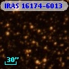IRAS 16174-6013