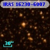 IRAS 16230-6007