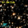 V* IM TrA