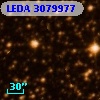 LEDA 3079977