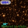 LEDA 3079979