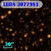 LEDA 3077981