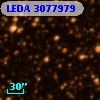 LEDA 3077979
