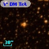 V* DM TrA