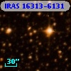 IRAS 16313-6131