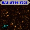IRAS 16364-6025