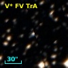 V* FV TrA