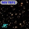 NSV  7971