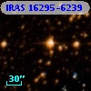 IRAS 16295-6239