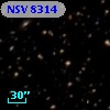 NSV  8314