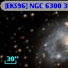 [EKS96] NGC 6300 313
