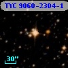 TYC 9060-2304-1