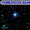 CCDM J17231-6144AB