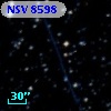 NSV  8598