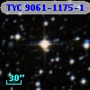 TYC 9061-1175-1