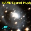 NAME SACRED MUSHROOM