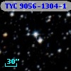 TYC 9056-1304-1