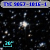 TYC 9057-1016-1