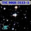 TYC 9060-3113-1