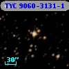 TYC 9060-3131-1