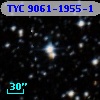 TYC 9061-1955-1
